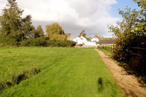 DSC03564