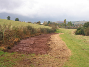First the nutrient-rich soil is stripped ...