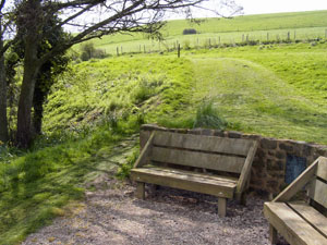A shady nook